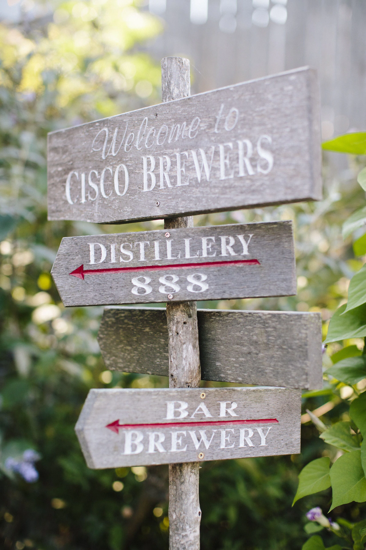 A weathered wooden signpost among the greenery reading “Welcome to Cisco Brewers”, with hand-painted arrow boards pointing to Distillery 888 and the Bar and Brewery